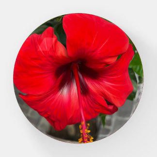 Bright red flower paperweight