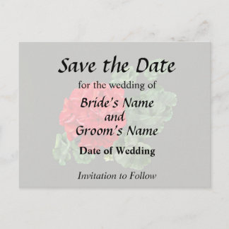 Bright Red Geranium Announcement Postcard