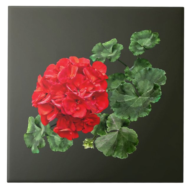 Bright Red Geranium Ceramic Tile (Front)