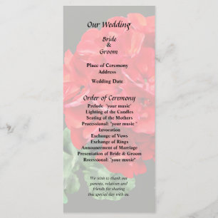Bright Red Geranium Program