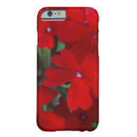 Bright Red Geraniums iPhone 6 Case
