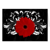 Bright Red Gerbera Daisy on Black (Front Horizontal)