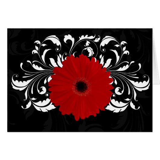 Bright Red Gerbera Daisy on Black Cards (Front Horizontal)