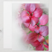 bright red leaflets (Front/Back)
