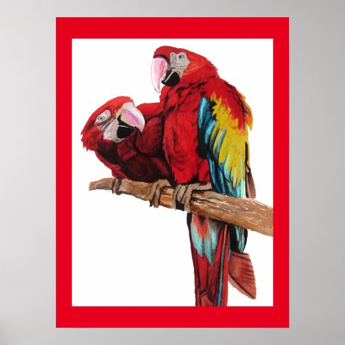 Bright Red Macaw Parrots Parrot Watercolour Poster