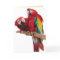 Bright Red Macaw Parrots Watercolor Birthday Card
