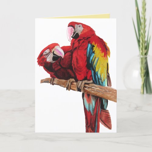 Bright Red Macaw Parrots Watercolor Birthday Card