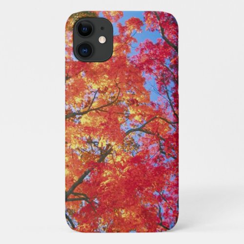Bright red orange and yellow Leave of Autumn iPhone 11 Case