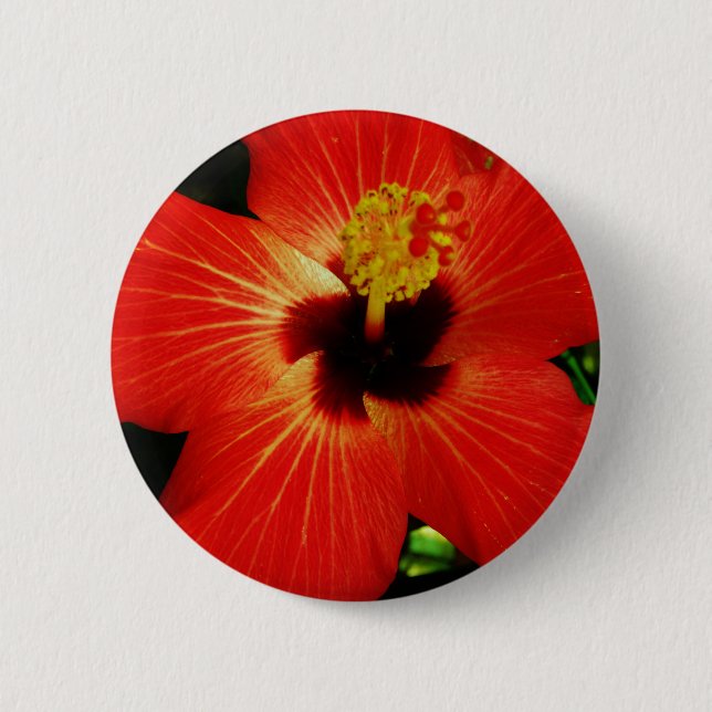 Bright Red Orange  Hibiscus Flower Button (Front)