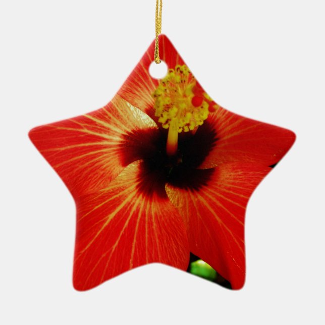 Bright Red Orange  Hibiscus Flower Ceramic Ornament (Front)