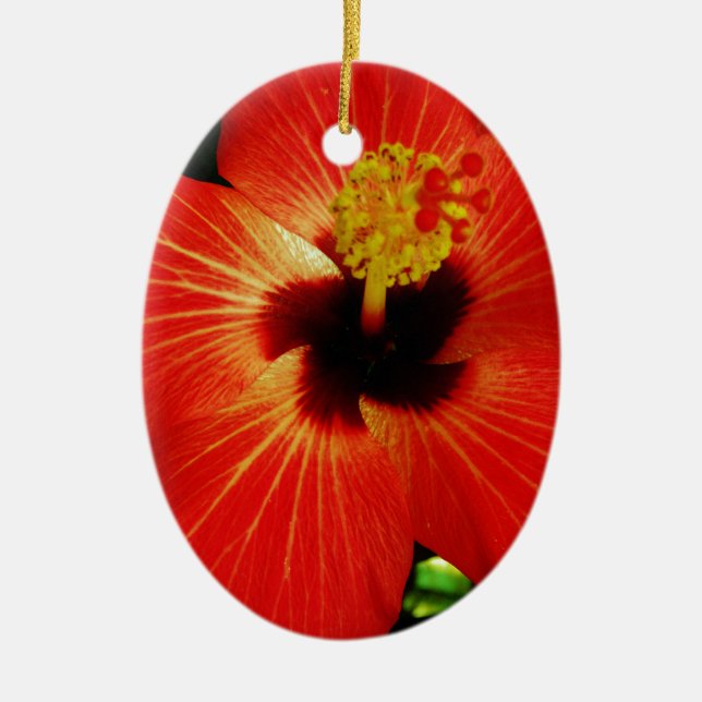 Bright Red Orange  Hibiscus Flower Ceramic Ornament (Front)