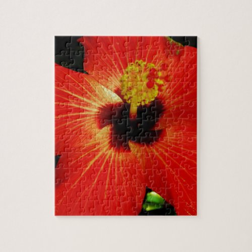 Bright Red Orange  Hibiscus Flower Jigsaw Puzzle