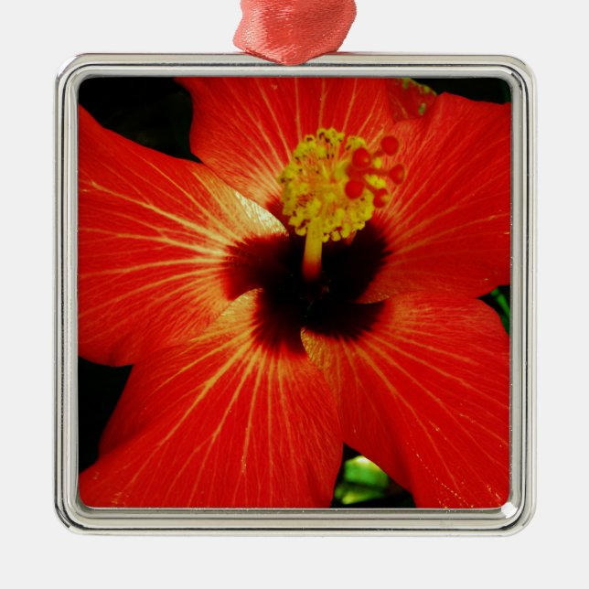 Bright Red Orange  Hibiscus Flower Metal Ornament (Front)