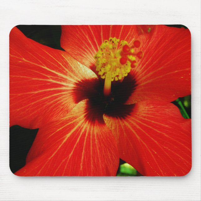 Bright Red Orange  Hibiscus Flower Mouse Pad (Front)