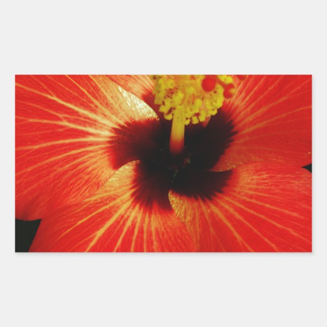 Bright Red Orange  Hibiscus Flower Rectangular Sticker (Front)