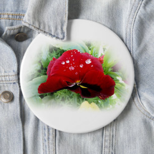 Bright red pansy button
