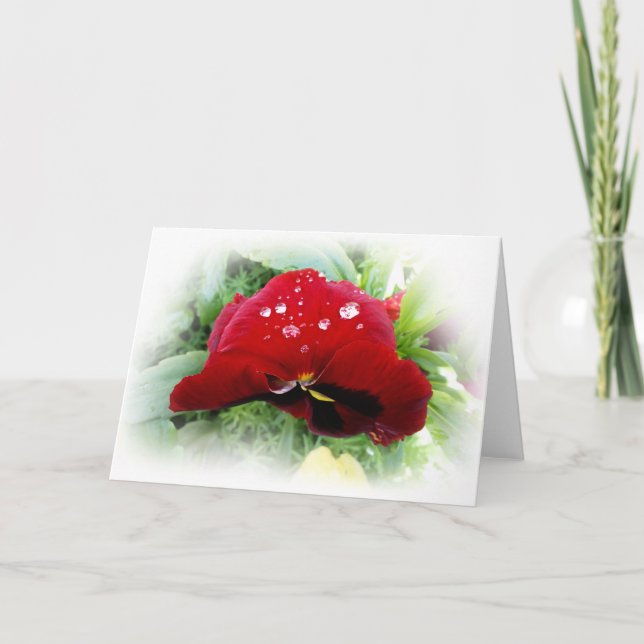 Bright red pansy card (Front)