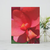 bright red petals (Standing Front)
