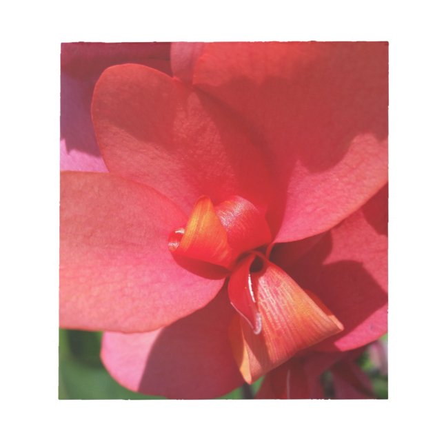 bright red petals notepad (Front)
