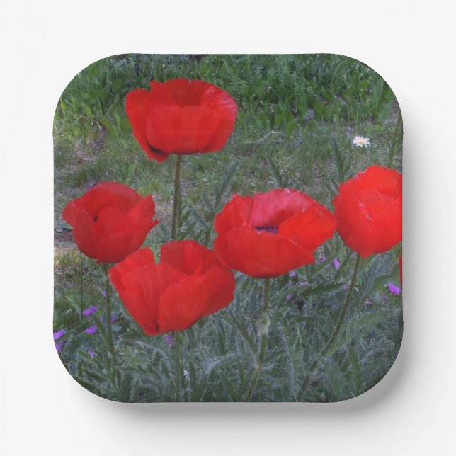 Bright Red Poppies Paper Plates (Front)