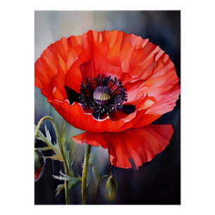 Bright Red Poppy with Dark Center Poster
