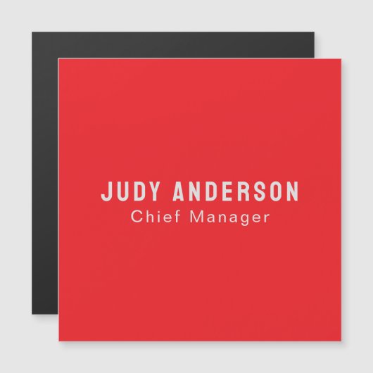 Bright Red Professional Plain Modern Magnetic Card (Front/Back)