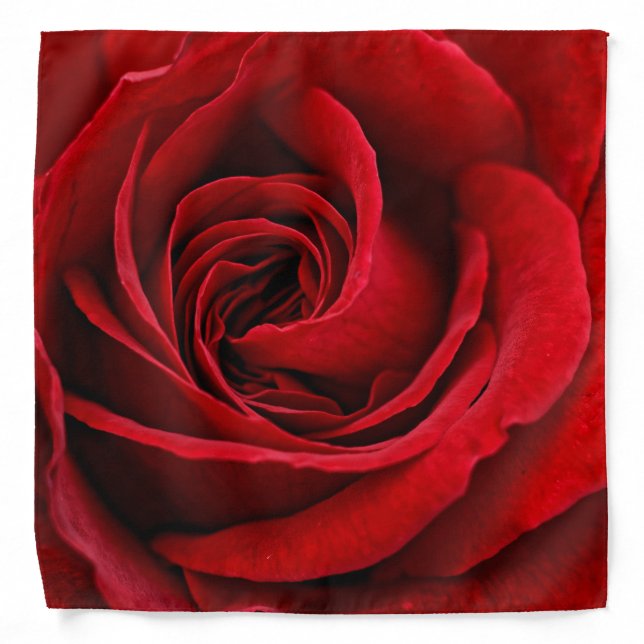 Bright Red Rose Close Up Bandana (Front)