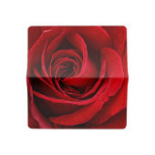 Bright Red Rose Close Up Checkbook Cover (Open)