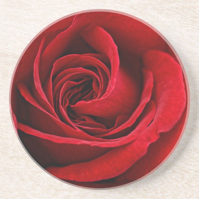 Bright Red Rose Close Up Drink Coaster (Front)