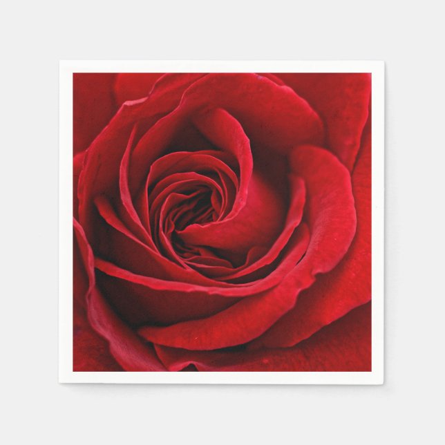 Bright Red Rose Close Up Napkins (Front)