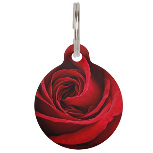 Bright Red Rose Close Up Pet Tag