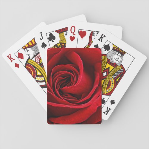 Bright Red Rose Close Up Poker Cards