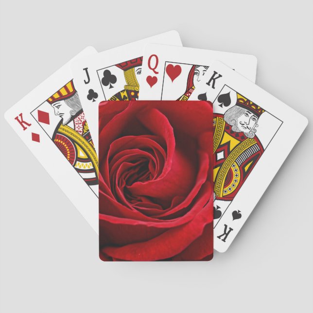 Bright Red Rose Close Up Poker Cards (Back)
