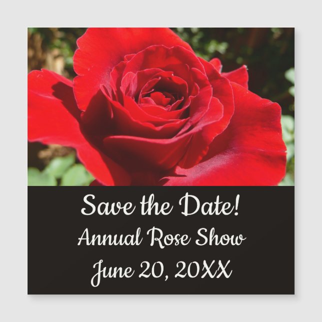 Bright Red Rose Flower Beautiful Floral (Front)