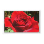 Bright Red Rose Flower Beautiful Floral Acrylic Tray