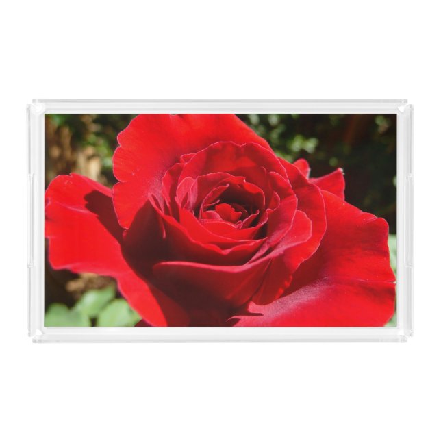 Bright Red Rose Flower Beautiful Floral Acrylic Tray (Front)