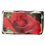 Bright Red Rose Flower Beautiful Floral Brownie