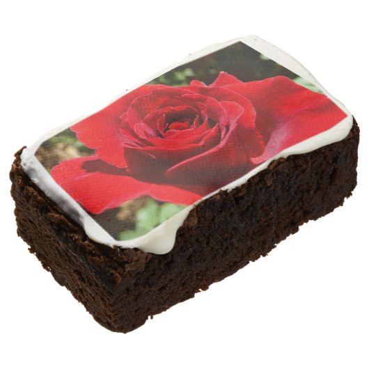 Bright Red Rose Flower Beautiful Floral Brownie (Angled)