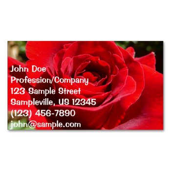 Bright Red Rose Flower Beautiful Floral Business Card Magnet by mlewallpapers at Zazzle