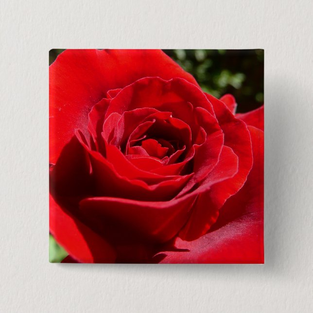 Bright Red Rose Flower Beautiful Floral Button (Front)