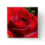 Bright Red Rose Flower Beautiful Floral Button