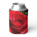 Bright Red Rose Flower Beautiful Floral Can Cooler