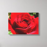 Bright Red Rose Flower Beautiful Floral Canvas Print
