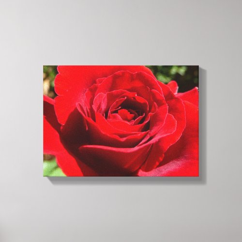 Bright Red Rose Flower Beautiful Floral Canvas Print