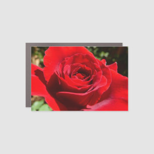 Bright Red Rose Flower Beautiful Floral Car Magnet