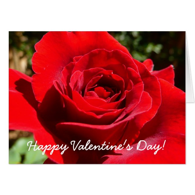 Bright Red Rose Flower Beautiful Floral Card (Front Horizontal)