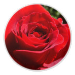 Bright Red Rose Flower Beautiful Floral Ceramic Knob