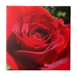 Bright Red Rose Flower Beautiful Floral Ceramic Tile