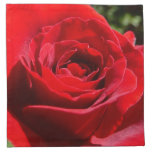 Bright Red Rose Flower Beautiful Floral Cloth Napkin