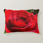 Bright Red Rose Flower Beautiful Floral Decorative Pillow